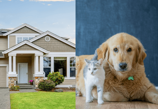 Protecting Pets and Home While You're Away