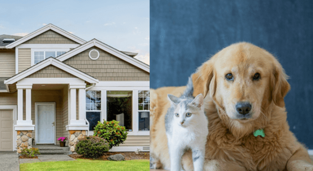 Protecting Pets and Home While You're Away