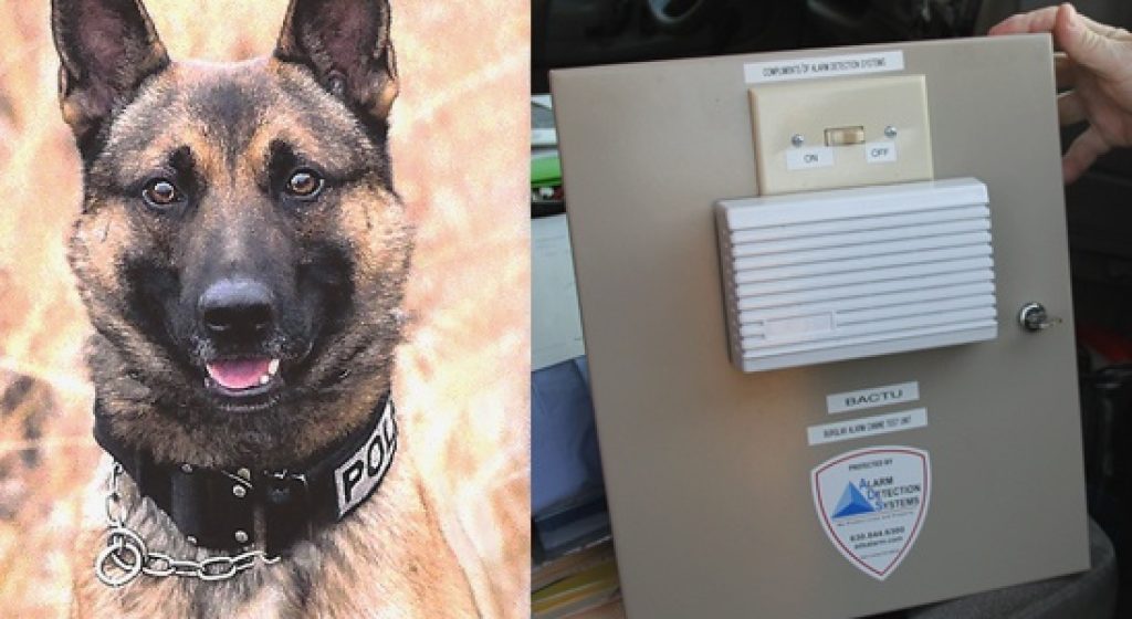 Burglar Alarm Canine Test Unit